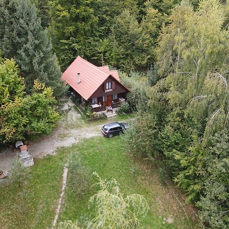 Casa Lacramioara Sîmbăta de Sus Zewnętrze zdjęcie