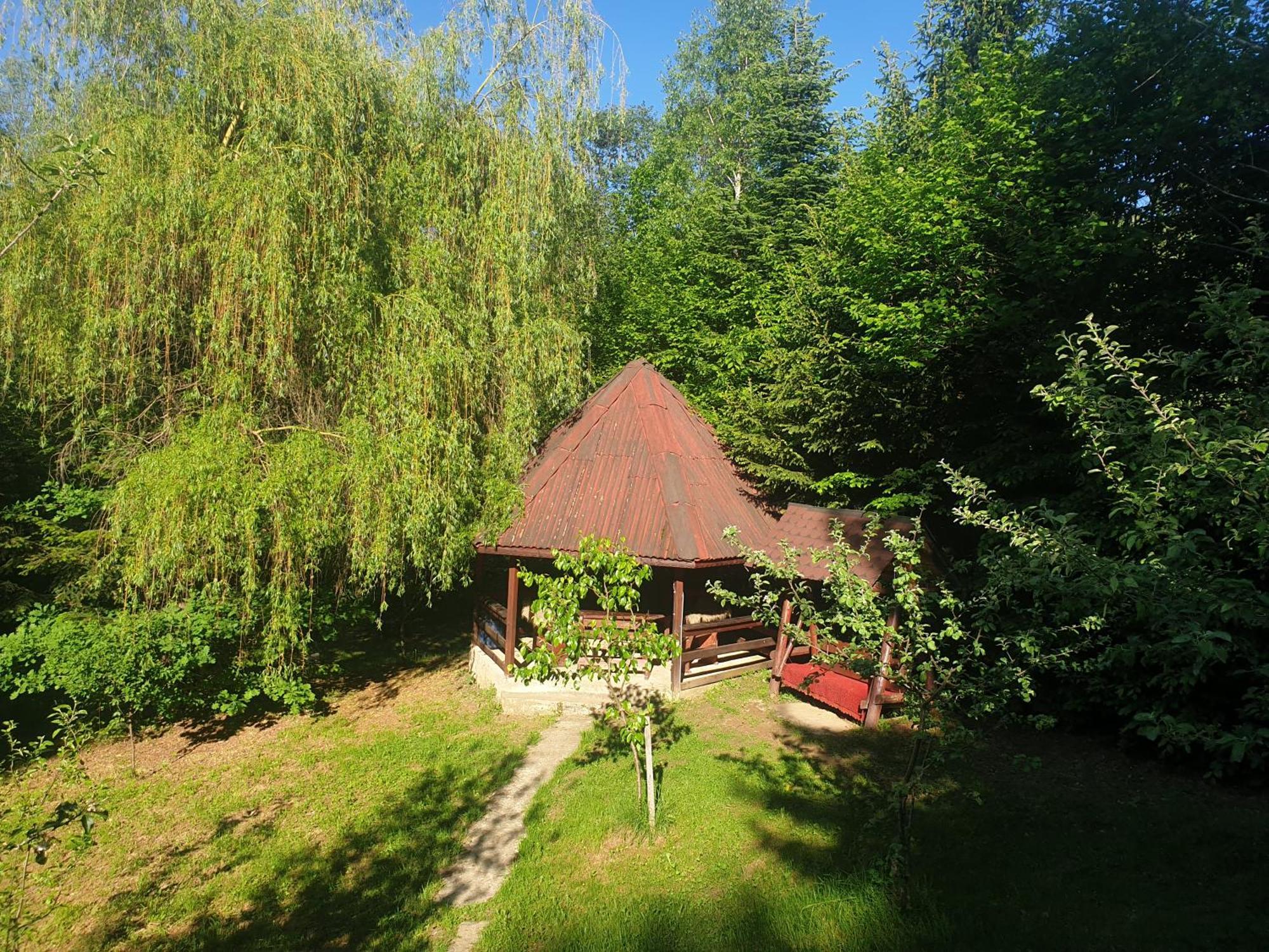 Casa Lacramioara Sîmbăta de Sus Zewnętrze zdjęcie