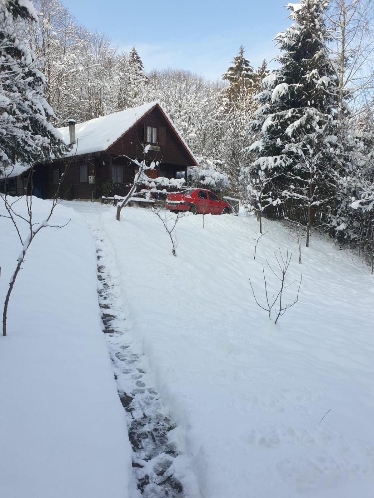 Casa Lacramioara Sîmbăta de Sus Zewnętrze zdjęcie