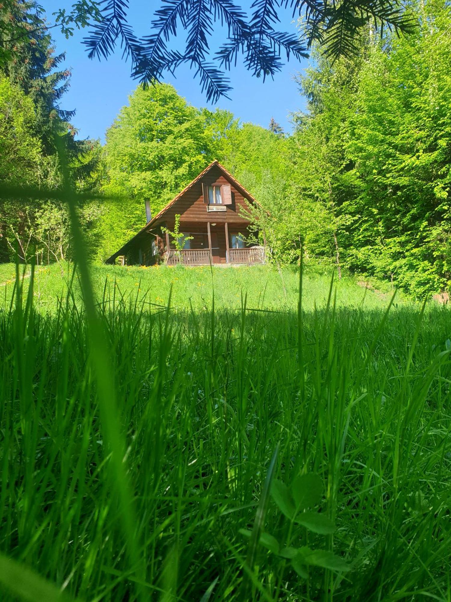 Casa Lacramioara Sîmbăta de Sus Zewnętrze zdjęcie