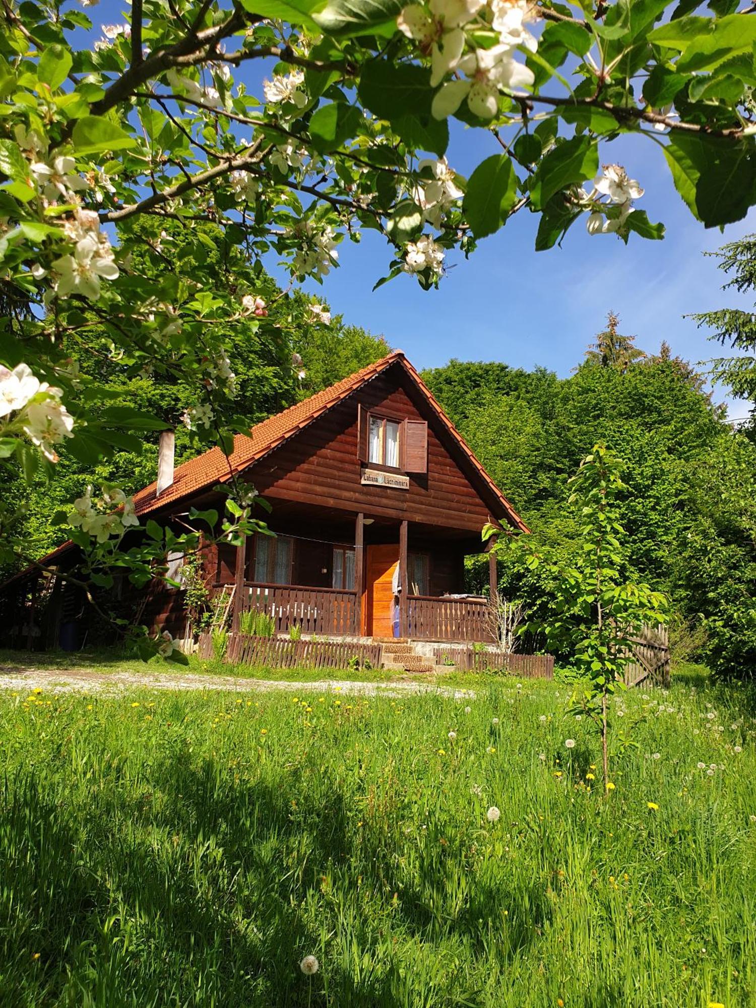 Casa Lacramioara Sîmbăta de Sus Zewnętrze zdjęcie