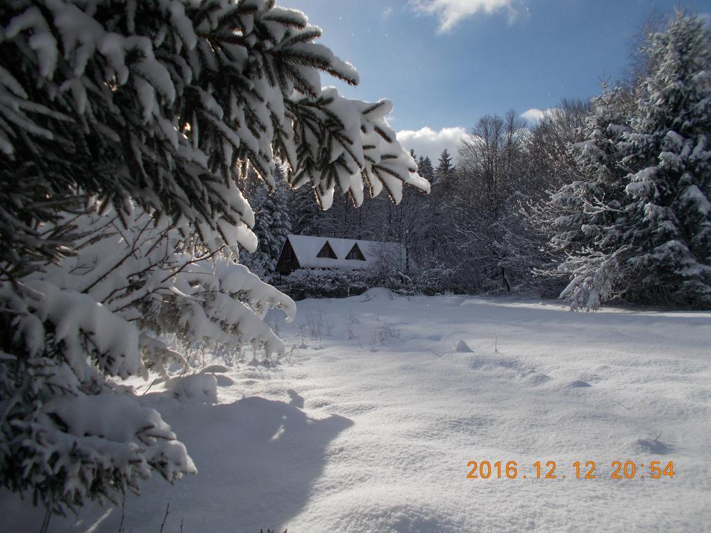 Casa Lacramioara Sîmbăta de Sus Zewnętrze zdjęcie